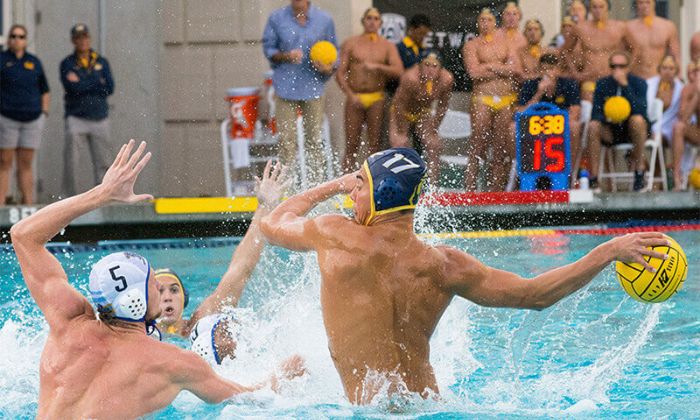 Cách chơi cá cược bóng nước