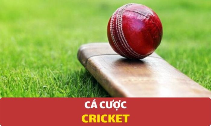 Cach-choi-ca-cuoc-cricket