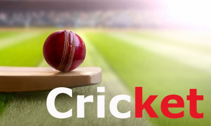 Cach-choi-ca-cuoc-cricket
