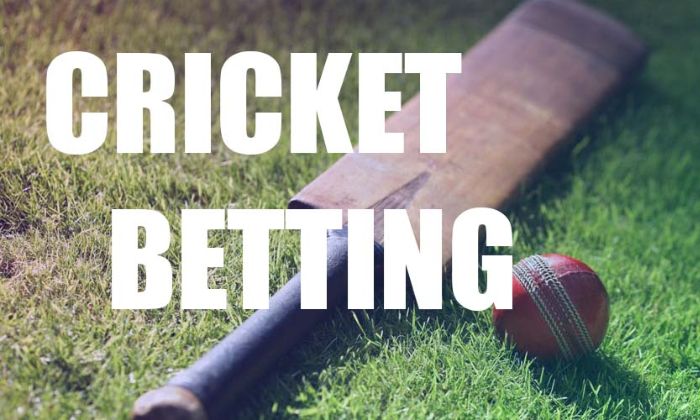 Cach-choi-ca-cuoc-cricket