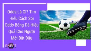Odds là gì