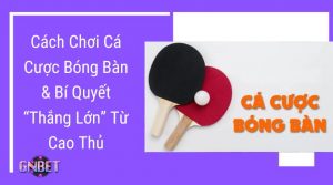 Cách chơi cá cược bóng bàn